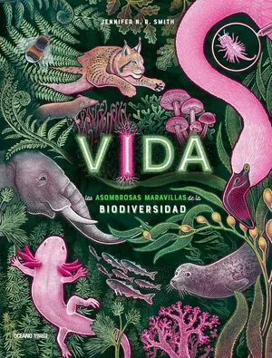 Vida
