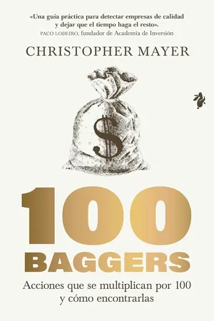 100 BAGGERS
