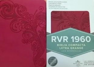 RVR 1960 Biblia Compacta Letra Grande Rosada