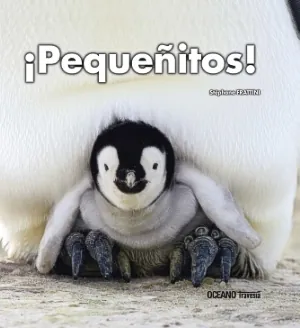 Pequeñitos!