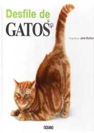 Desfile de gatos