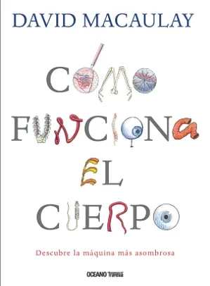 Como funciona el cuerpo