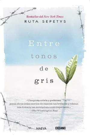 Entre tonos de gris