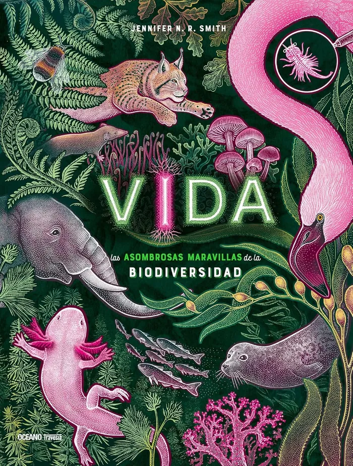 Vida