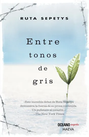 Entre tonos de gris