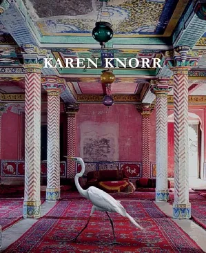Karen knorr