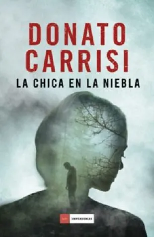 Chica en la niebla, La