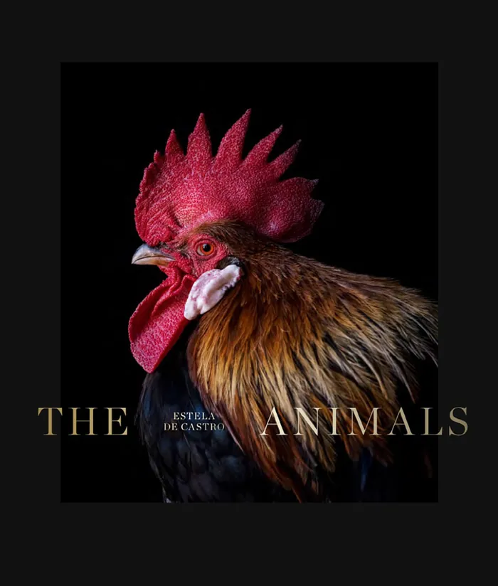 The Animals