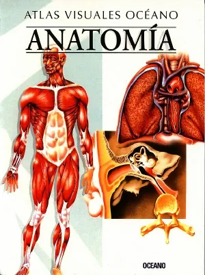 Atlas visuales oceano anatomia