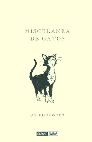 Miscelanea de gatos