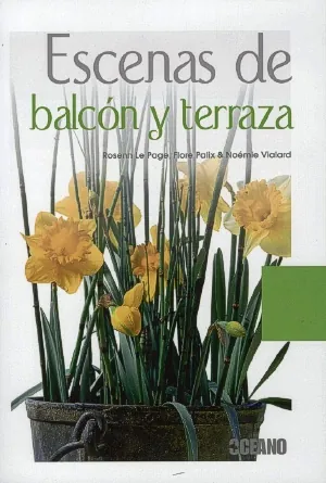 Escenas de balcon y terraza