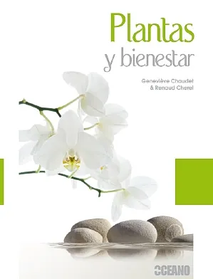 Plantas y bienestar