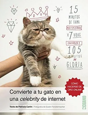 Convierte a tu gato en una celebrity de internet