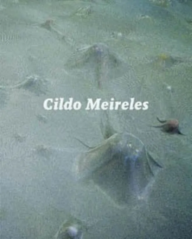 Cildo Meireles