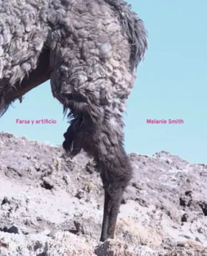 Melanie Smith. Farsa y artificio