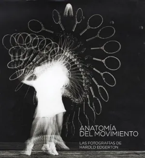 Anatomia del movimiento