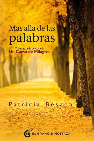 Más allá de las palabras.Crónicas de la práctica de un Curso